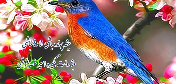 عکس نوشته میشه پرنده باشی اما رها نباشی