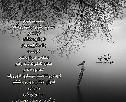 عکس نوشته میشه پرنده باشی اما رها نباشی