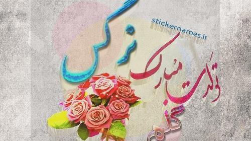 عکس تولدت مبارک دخترم نرگس
