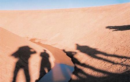 عکس کویر هنری
