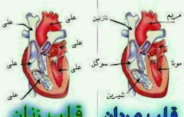 عکس نوشته کاش قلبها در چهره ها بود