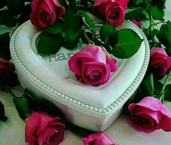 عکس گل طبیعی خاص