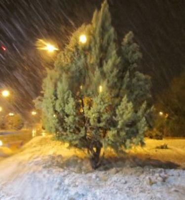 عکس برف های ایران