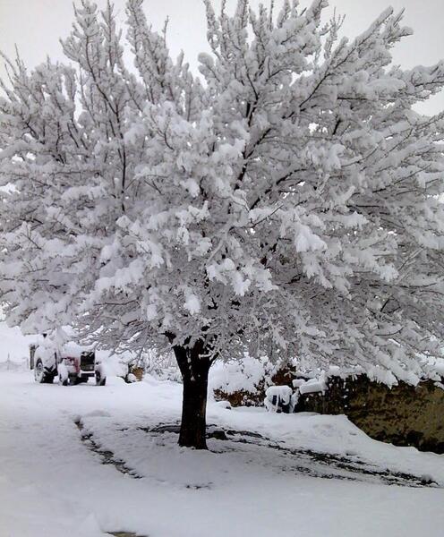 عکس برف های ایران