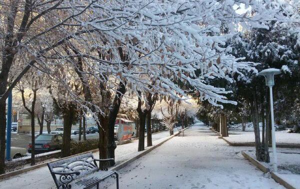 عکس برف طبیعت