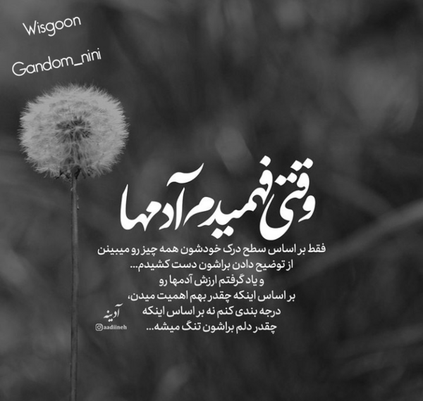 عکس نوشته من یاد گرفتم