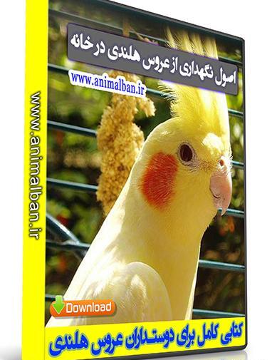 عکس عروس هلندی در خانه