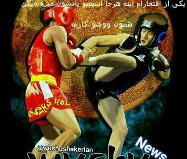 عکس نوشته من یه دختر رزمی کارم