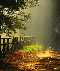عکس صفحه متحرک