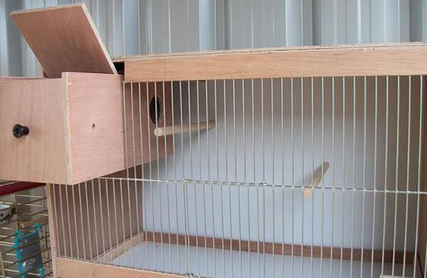 عکس قفس عروس هلندی چوبی