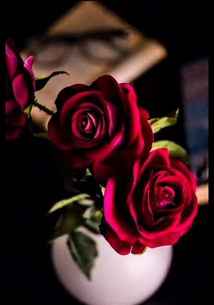 عکس تصویر زمینه باحال گل