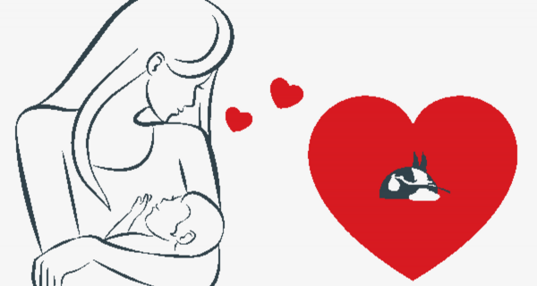 عکس مادر هنگام شیر دادن به نوزاد