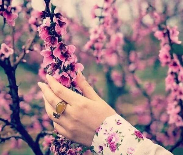 عکس نوشته زندگی در گذر است آدمی رهگذر است