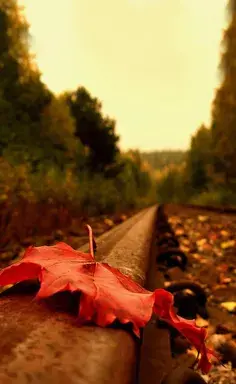 عکس نوشته زندگی در گذر است آدمی رهگذر است