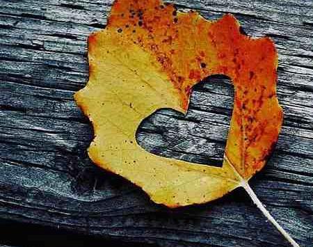 عکس قلب عاشقانه پاییزی