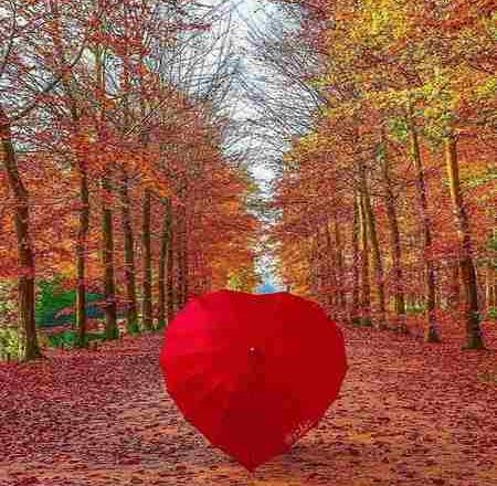 عکس قلب عاشقانه پاییزی