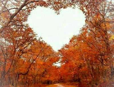 عکس قلب عاشقانه پاییزی