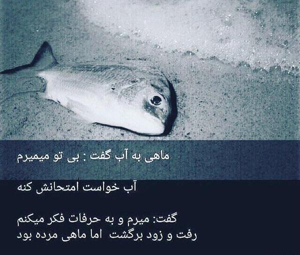 عکس نوشته با جملات مفهومی
