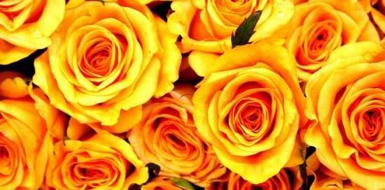 عکس نوشته با رنگ زرد