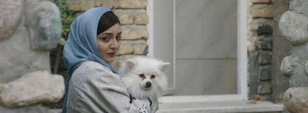 عکس سگ پاپت در عاشقانه