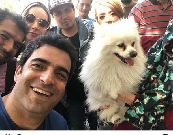 عکس سگ پاپت در عاشقانه