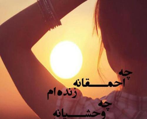 عکس نوشته من چقدر احمقم