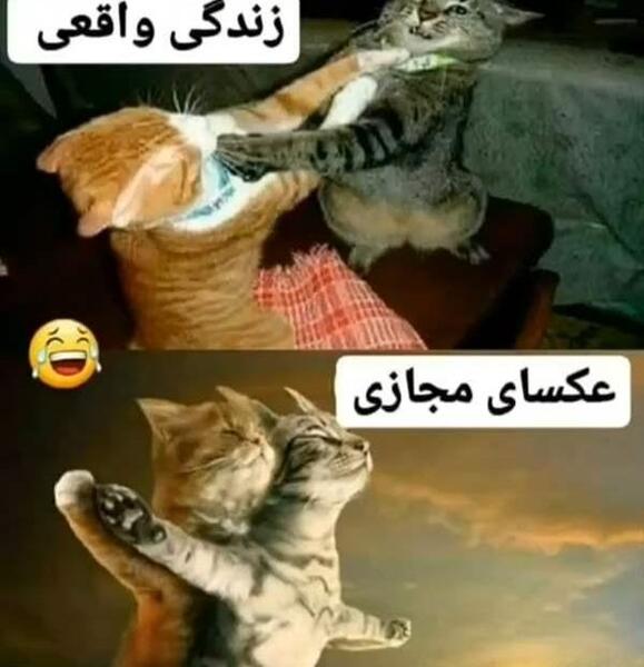 عکس نوشته ظاهر زندگی دیگران