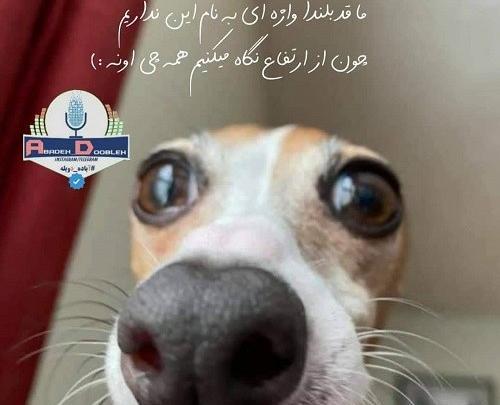 عکس نوشته مرد باید ورزشکار باشه