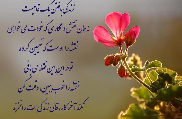 عکس نوشته زندگی بافتن یک قالیست