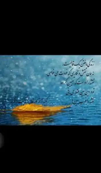 عکس نوشته زندگی بافتن یک قالیست