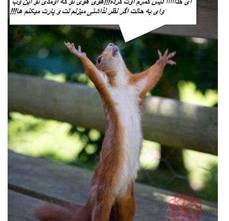 عکس نوشته چرا ظرف مرا بشکست لیلی