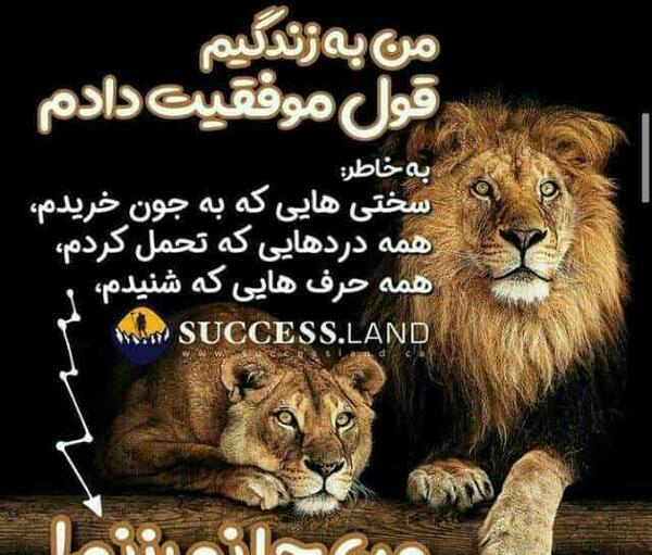 عکس نوشته من جا نمیزنم
