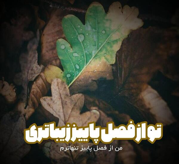 عکس نوشته تو از فصل پاییز زیباتری