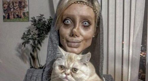 عکس گربه خنده دار جدید