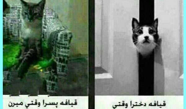 عکس نوشته بدون شرح