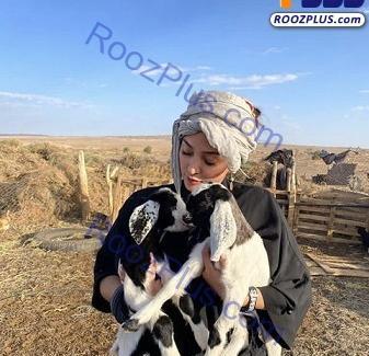 عکس نوشته رفتنی باید بره