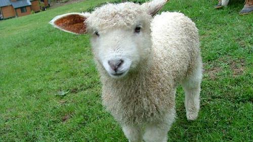 عکس نوشته رفتنی باید بره