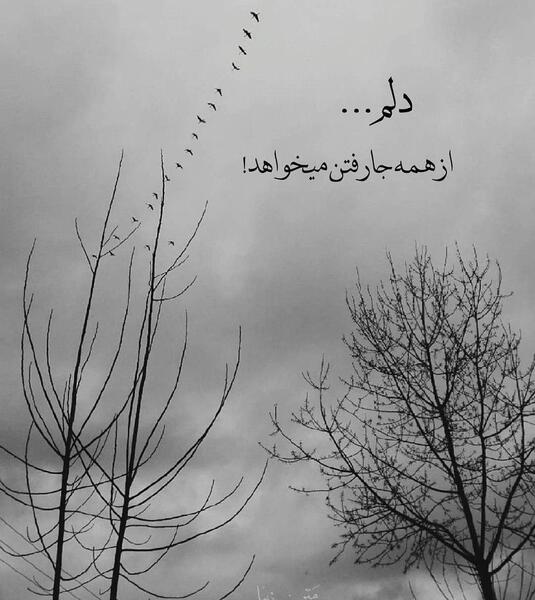 عکس نوشته گاهی دلت یک رفتن میخواهد