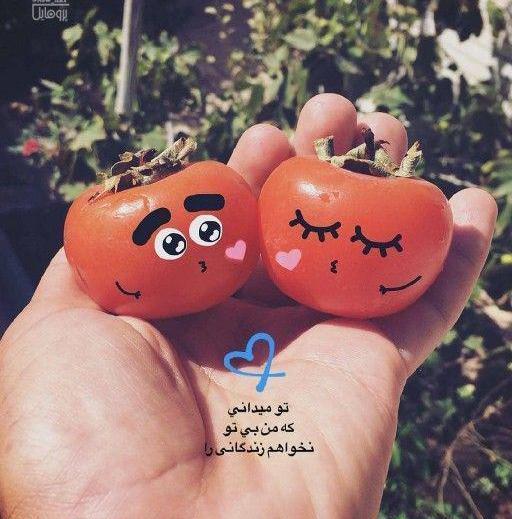 عکس نوشته تو چه میدانی