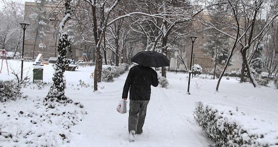 عکس برف امروز مشهد