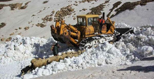 عکس برف روبی