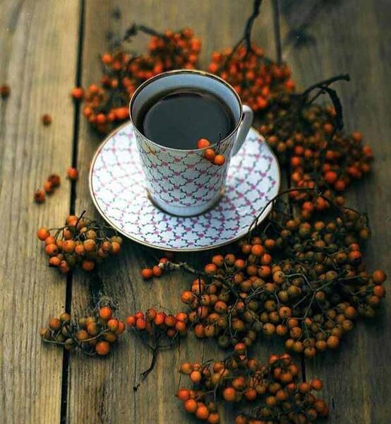 عکس نوشته با فنجانی چای هم میتوان مست شد