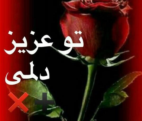عکس نوشته تو عزیز دلمی