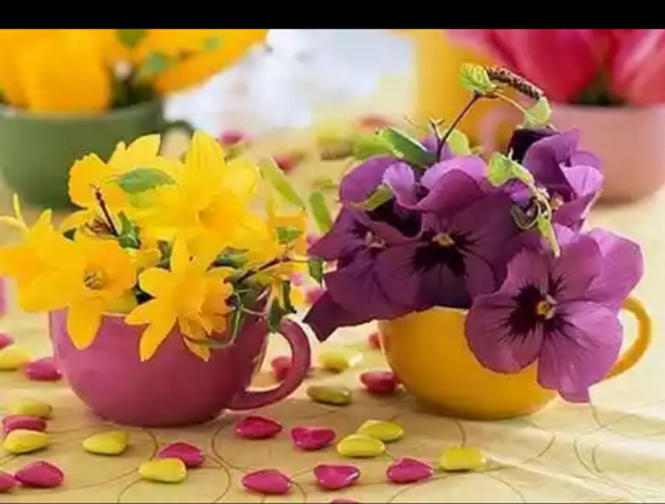 عکس نوشته زندگی وزن نگاهیست که درخاطره ها میماند