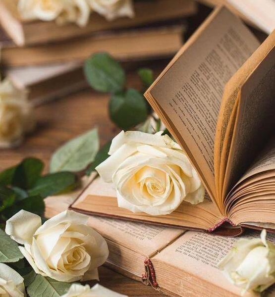 عکس تصاویر گل طبیعی زیبا