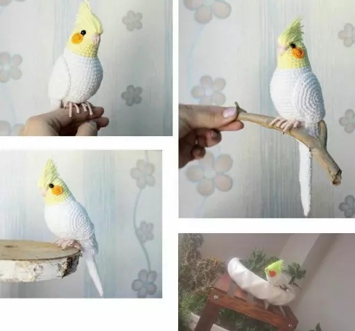 عکس عروس هلندی عروسکی