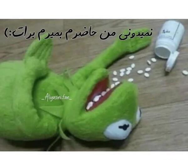 عکس عروسک قورباغه سبز