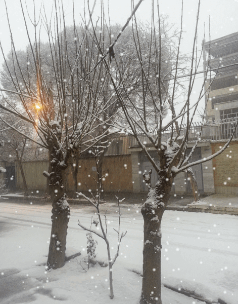عکس برف متحرک