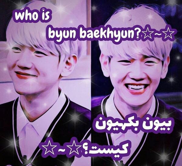 عکس پاپی کیوت