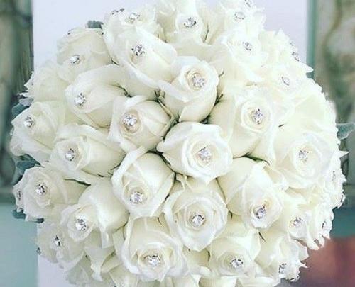 عکس گل طبیعی سفید